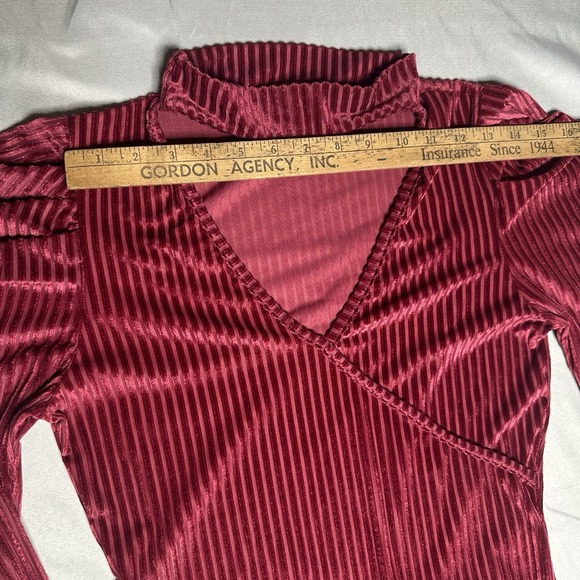 Velvet Burn Out Striped Bodysuit Large Maroon Leg O Mutton Sleeve Collar Neck - Picture 5 of 10